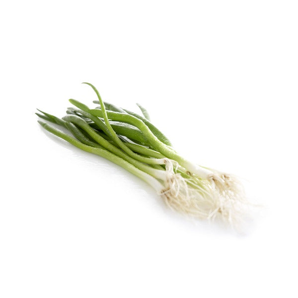 Spring Onions / Ea